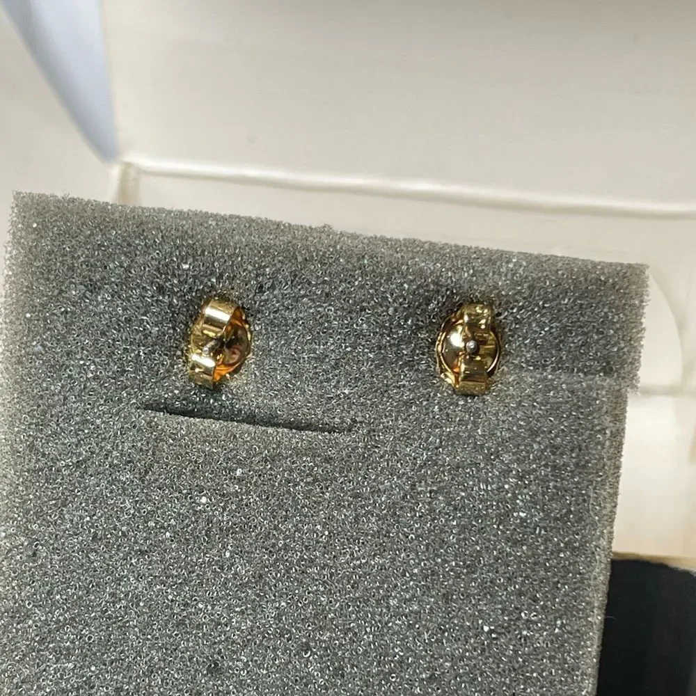 NIB Avon 1994 Toast to New Years Earrings Gold Tone Surgical Posts